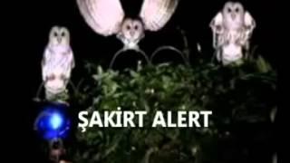 Şakirt Alert - İnci Sözlük