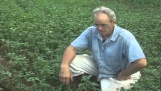 Flax Growing C  4 of 10