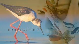 Paul Hardcastle  -  Bird Island - Hardcastle 2