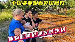 外国媳妇带中国公婆，在亚美尼亚乡村享受水果自由，婆婆乐在其中