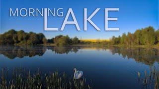 Summer Morning on the Lake. Virtual Boat Tour and Walk. Pike Fishing. Swan's Nest.