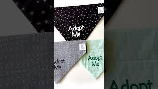 Adopt Me Dog Bandanas #adoptme #animalshelter #animalrescue