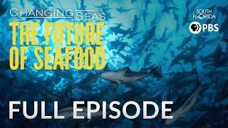 The Future of Seafood - Full Episode