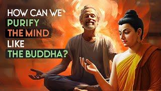 How Can We Purify the Mind Like the Buddha?