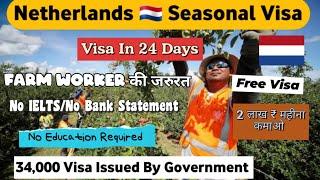 Netherlands Seasonal Work Visa Process| Requirements,Eligibility Criteria, Documents, How To Apply