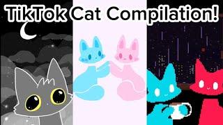 TikTok Cat Compilation #3 By Feyzart! ️🩵