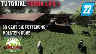 LS22 - TerraLife + Tutorial - Fütterung der Holstein Kühe und Bullen!