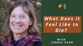 Insights Into the Experience of Dying with Jennie Dear | EOLU Podcast