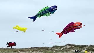 Hundreds of kites fill sky over Danish island for festival | REUTERS