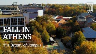 Fall on UGA's Campus