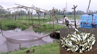 How to Catch Fish With Bamboo & Net | Amazing Fishing With Net & Bamboo | Fishing In Raining Season