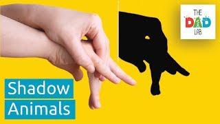 How to Make Animals Shadow Puppets with Your Hands