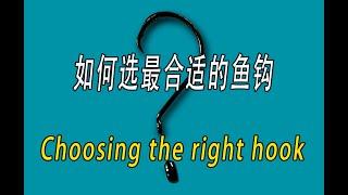 如何选最合适的鱼钩 choosing the right hook