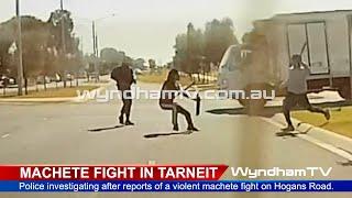 Machete Fight in Tarneit