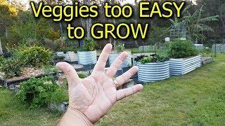 5 Vegetables that are too EASY to GROW in the Garden