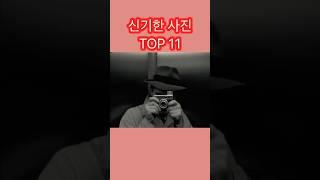 세계에서 신기한 사진 TOP 11 #쇼츠 #랭킹 #신기한사진