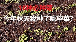 今年秋天我种了哪些菜？18种家庭必种菜