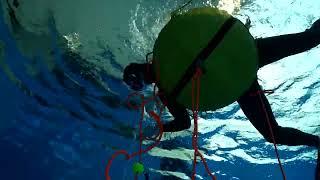 Dive line pull rescue - Manual Pulls | Freediving Skills