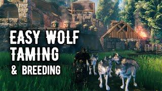 Valheim : Ep39 Taming Wolves and Breeding Wolf Pups