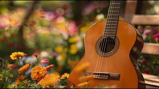 The World's Best Classical Music, Deeply Relaxing Guitar Music, Reduce Brain Overload, Sleep Well