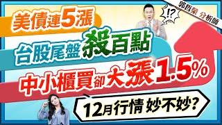 【美債連5漲 台股尾盤殺百點 中小櫃買卻大漲1.5% 12月行情妙不妙?】2024.11.29(字幕版)