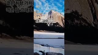 교제술