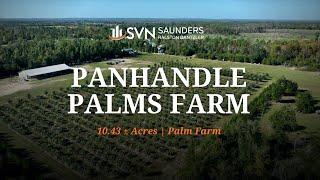 Florida Farm For Sale | Panhandle Palms Farm | 10.43 ± Acres | Marianna, FL