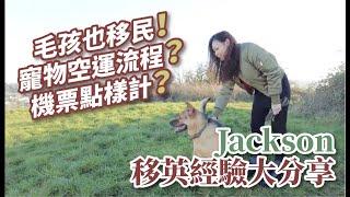 【英國生活】毛孩也移民！寵物空運流程？ 機票點樣計？Jackson 移英經驗大分享