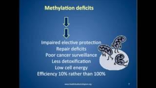 Health Studies Collegium - Restorative Methylation