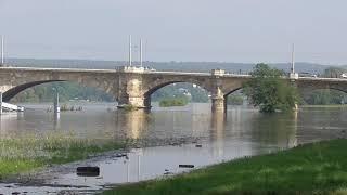 Hochwasser Dresden im September 2024 mit Blick auf die Raddampfer und die eingestürzte Carolabrücke