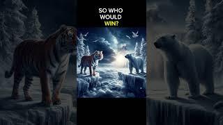 Siberian Tiger vs. Polar Bear–Who Will Win? #wildlifeshowdown #predatorvspredator #animalcombat