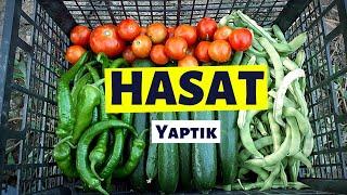 Ekolojik Kent Bahçesi - Sebze Hasatı ve Bahçe Turu 1. Bölüm