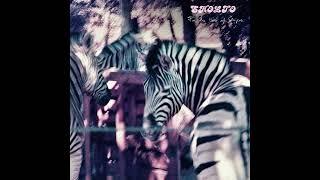 SHOLTO - For The Love of Stripes (Official Audio)