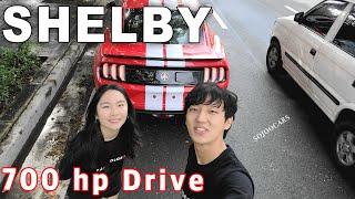 2020 Mustang GT Shelby Driving Impressions - [SoJooCars]