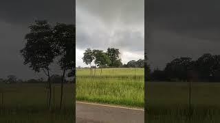 Recorded This Tornado In Missouri. Absolutely Amazing. #tornado #storm #tornadodamage #weather