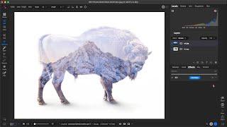 ON1 Photo RAW’s Best Kept Secrets for Pro-Level Photo Editing