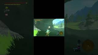 Korok Seed near Talus Plateau -  Breath of the Wild #shorts