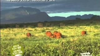 Tsavo West National Park.