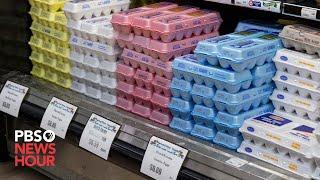 What's causing the price of eggs to skyrocket nationwide?