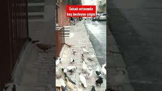 çılgın sokak ortasında kuş besliyor #güvercin #pigeons