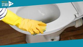 Mrs Hinch fans share three cheap ways to remove yellow stains from toilet seat