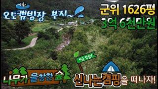 군위촌집매매09 경북 군위군 화북리 보전관리 1626P 건평 20p 3억 6천만 하천부지를 길게 접한 오토캠핑장부지  화북리부동산 군위토지 군위전원주택지