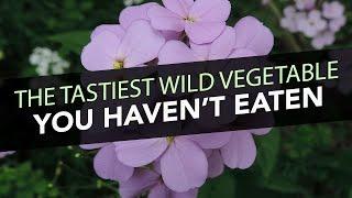 The Tastiest Wild Vegetable You Haven't Eaten