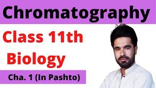 Chromatography | FSC biology part 1 | Pashto | Home of biology