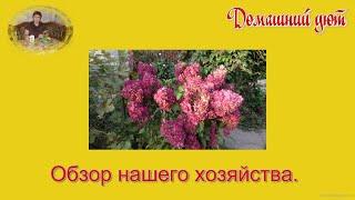 Обзор нашего участка.