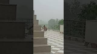 #sanjeev #sanjeevvlog #vlogs #tiles