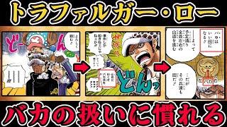 バカに慣れるロー、ドジっ娘ブリュレ、チョッパーに慕われたいゾロ…etc　細かすぎるワンピの好きなところ＆キュンキュンワンピ！【仲間がいるよTube!!!!】