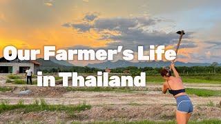 EP.17 Two Chinese girls’ farming life in Thailand｜两个中国女生在泰国当农民