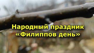 Народный праздник «Филиппов день». 27 ноября. Что нужно делать в этот день.