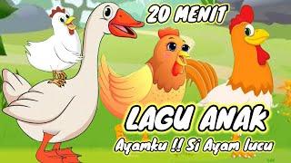 Ayam Kok kok kok ️ Si Ayam lucu Dan lagu lain nya 20 menit